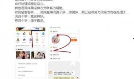 莆田一姐爆料视频播放大全,热点事件背后的真相