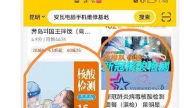 核酸检测最新爆料信息,揭秘最新爆料背后的科学真相