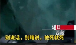 西藏冒险王近期爆料视频,探寻神秘高原的惊险历程