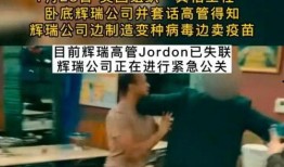 美国新病毒爆料视频大全,最新爆料视频大全深度解析